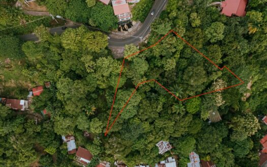 Manuel Antonio partial ocean view for sale