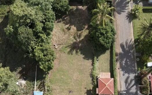 Parrita Lot