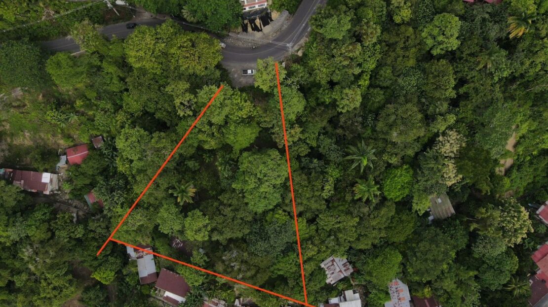 commercial and residential Manuel Antonio