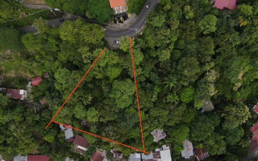 commercial and residential Manuel Antonio