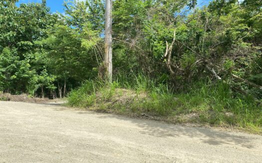 Santiago, commercial / residential corner lot