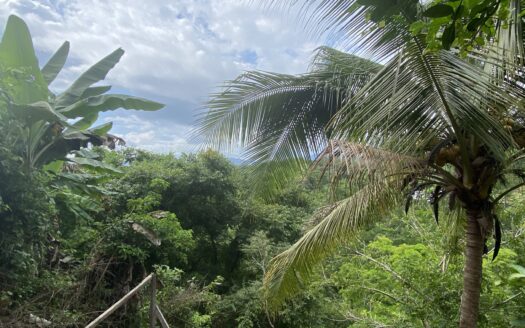 Expansive valley views Commercial and residential property steps to Manzanillo beach