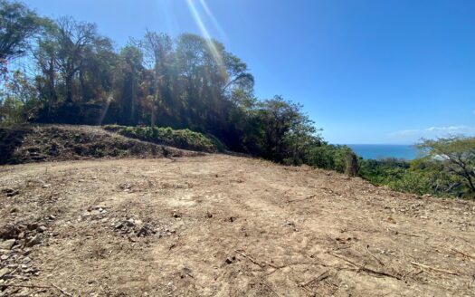 Mal Pais Ocean View Property