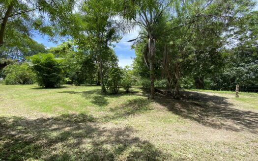 Spacious and private land in Manzanillo