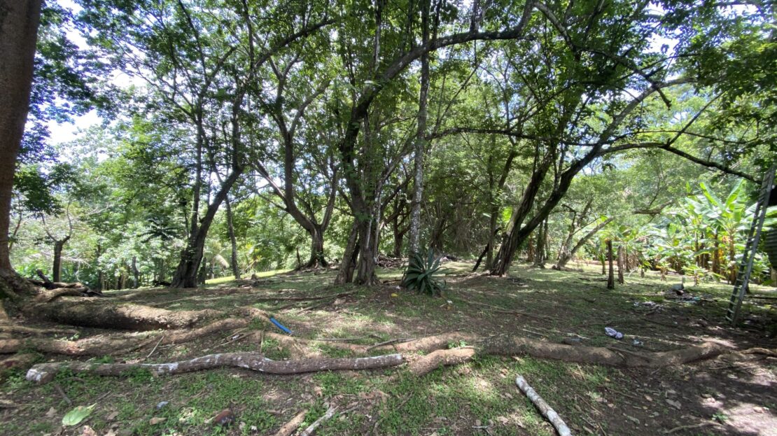 Spacious and private land in Manzanillo