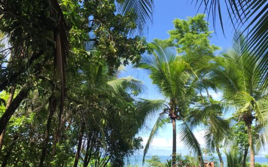 Rare Gem! Gorgeous Property w/ Ocean View, Privacy & Nature – 2 Mins Walk to the Beach