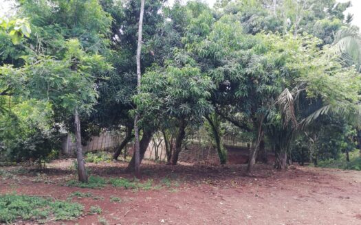 4 Enchanting Gated Community Lots – $50-125k