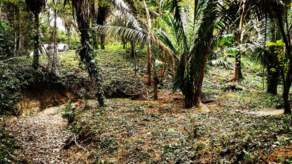 Costa Rica Real Estate