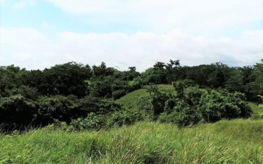 3 Beautiful Lots in a Private Area and Close to Santa Teresa.