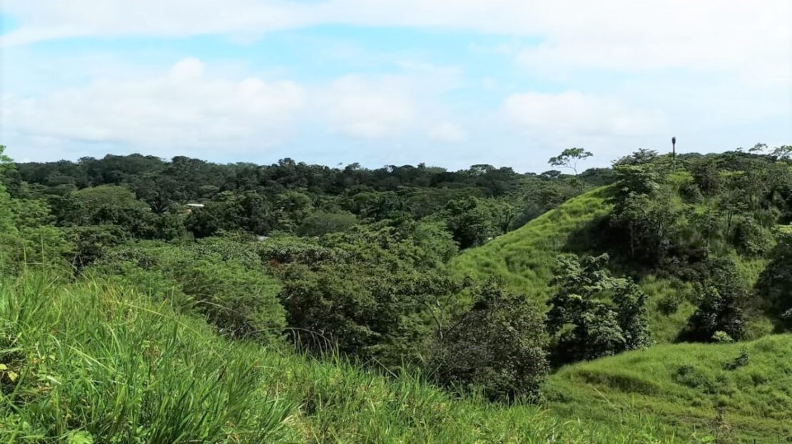 3 Beautiful Lots in a Private Area and Close to Santa Teresa.