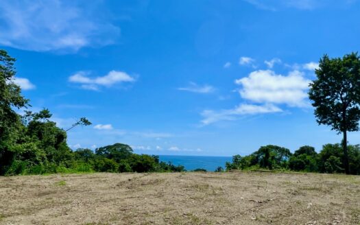 Mixed Use Res/Comm. Ocean View Lot