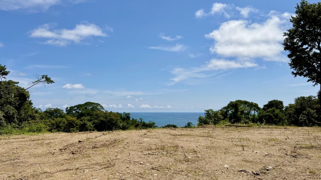 Mixed Use Res/Comm. Ocean View Lot