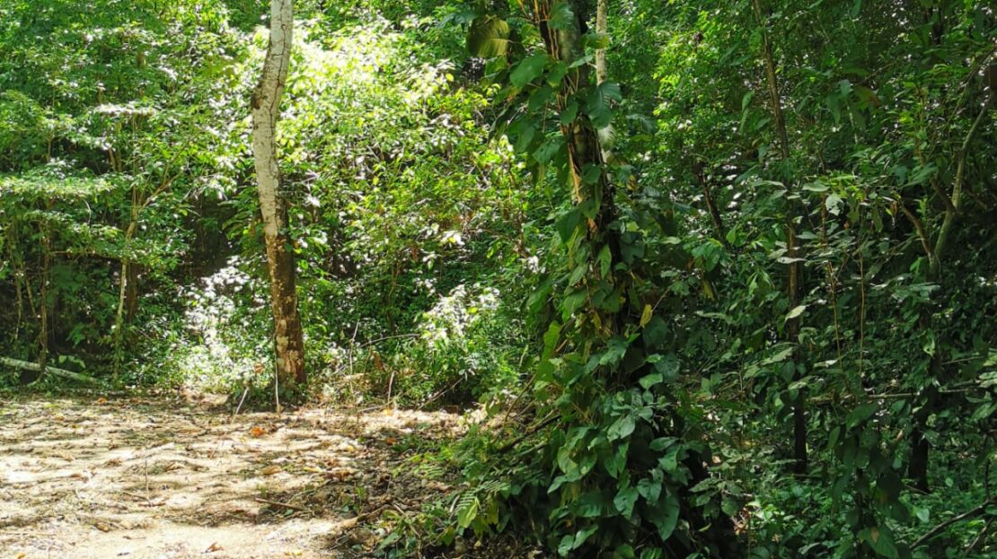 Santa Teresa