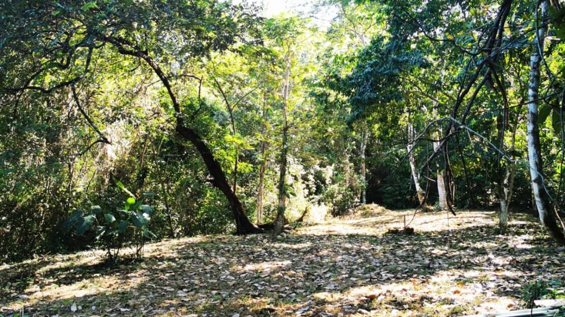 Eco-Friendly Residential Development Lot Opportunity in Mal Pais - Steps to the Beach!