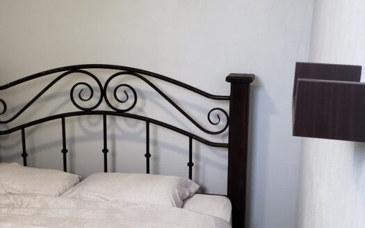 Remodeled 5-plex | Downtown