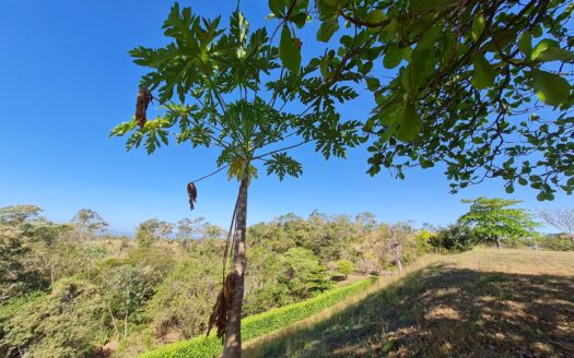 Tarcoles 5 acres ocean view land ready to build