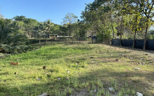 Manzanillo Commercial and residential lot steps to the beach