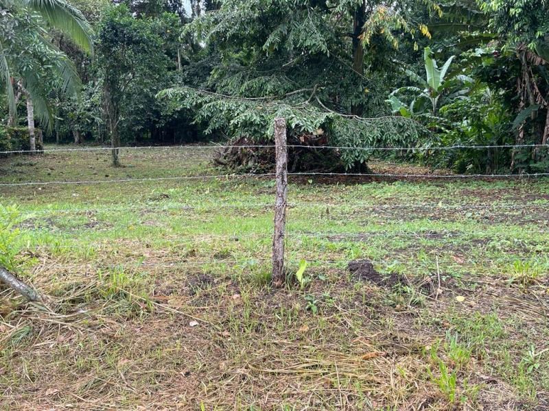 Available Lot surrounded by Tropical Forest in Cahuita