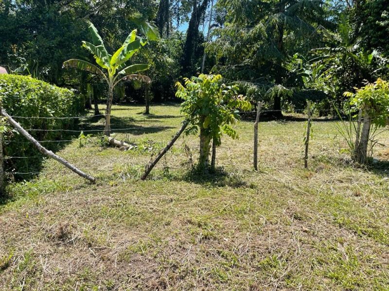 Available Lot surrounded by Tropical Forest in Cahuita