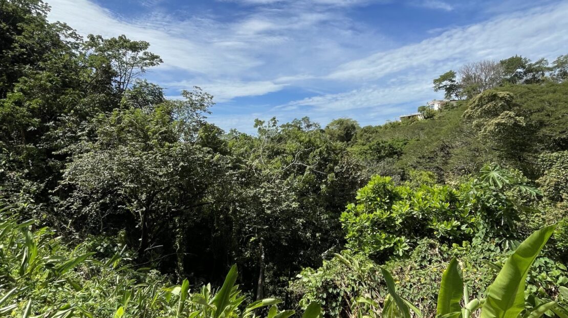 Beautiful lot in Mal Pais Hills w/ ocean and jungle view