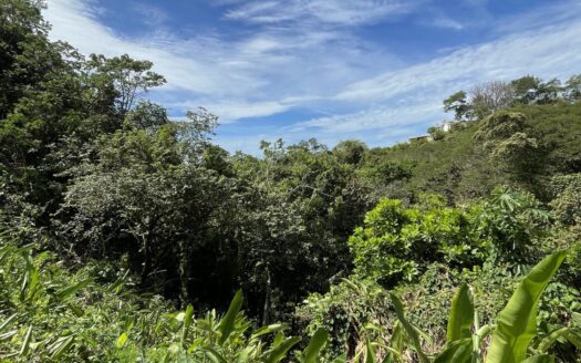 Beautiful lot in Mal Pais Hills w/ ocean and jungle view