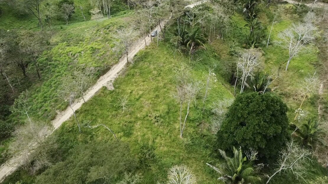 Expansive Jungle Lot Close to the Beach