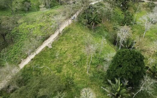 Expansive Jungle Lot Close to the Beach