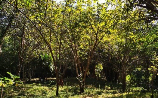 Big Flat Lot Surrounding by Beautiful Nature / 8 min. driving from Playa Hermosa.