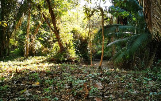 Santiago Area/ Private and Tranquil Lot.