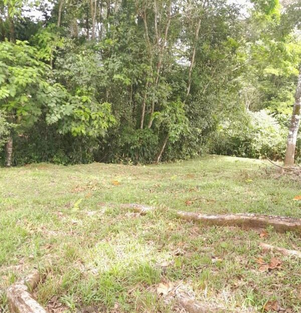 Great Opportunity Land for Sale in Sixaola