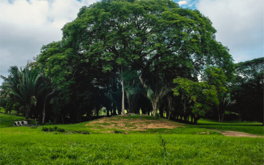 Finca La Palmita – Ecological Gated Community in Santiago Area.