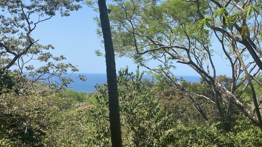 Partial ocean view centrally located land