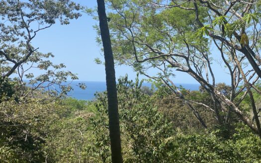 Partial ocean view centrally located land