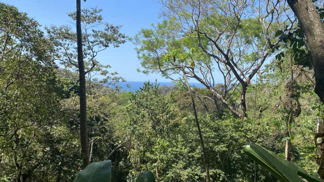 Partial ocean view centrally located land