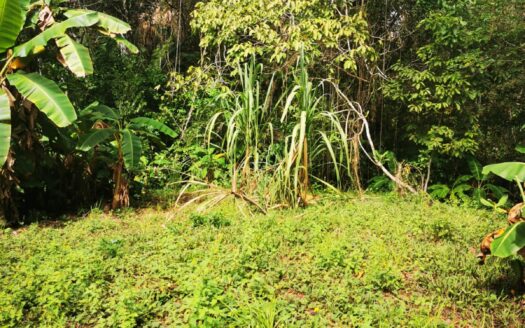 Manzanillo Residential Lot.