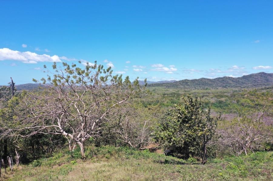7.1 hectares lot with amazing ocean view