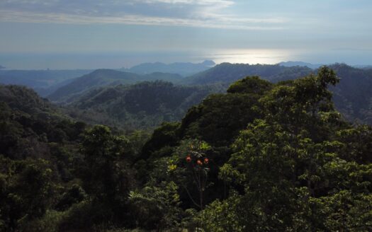 Ocean view teak farm with river & waterfalls