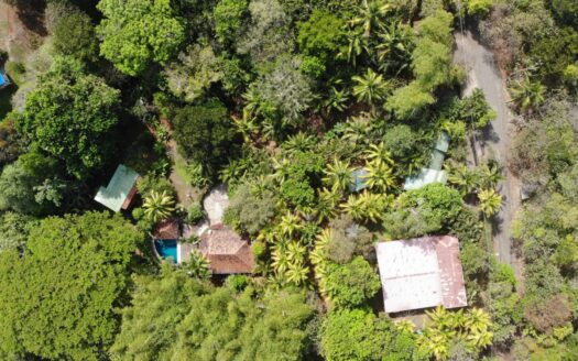 Boutique Hotel | Surf Camp | Bed and Breakfast on 1.4 Acres | Near the beach
