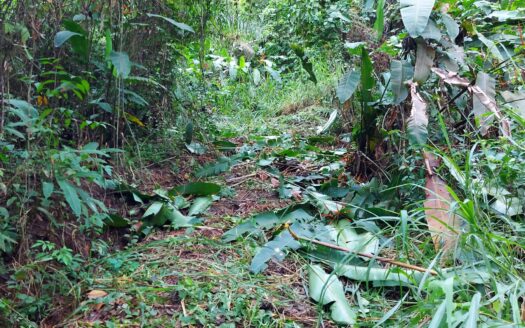 Large mountain and valley view lot