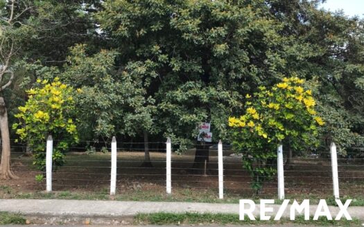 EXTENSIVE COMMERCIAL LAND