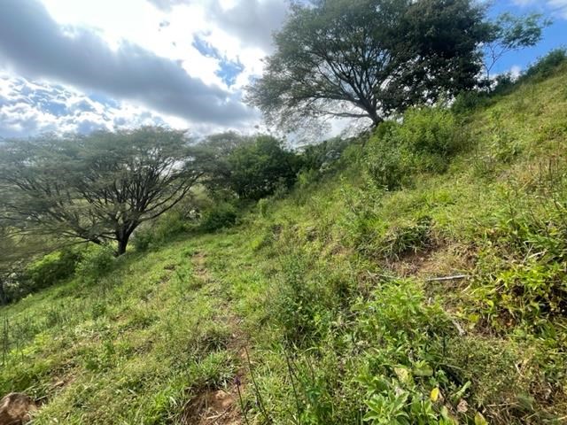 Ideal farm with amazing views for development - Guacimo