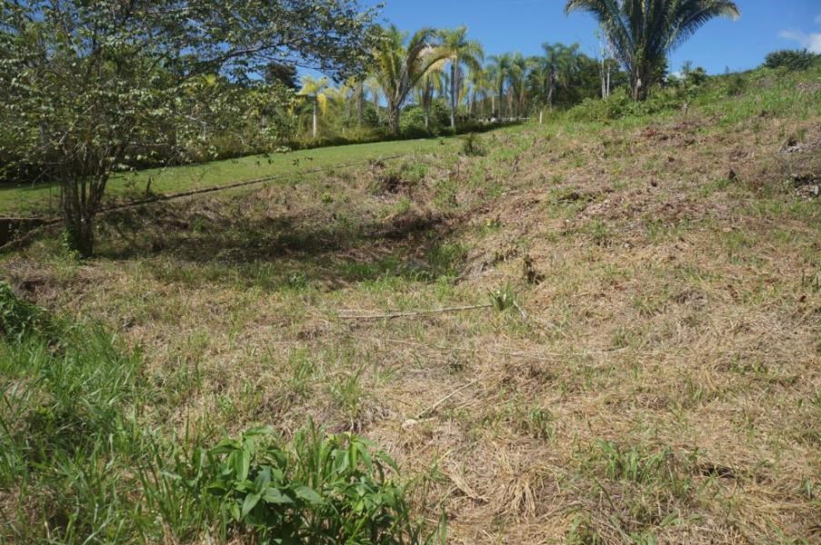 Beautiful corner lot in Chontales de OSA with a magnificent hillside view and easy access.