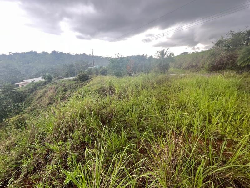 677 m2 river and mountain views land for sale in Quepos, Costa Rica