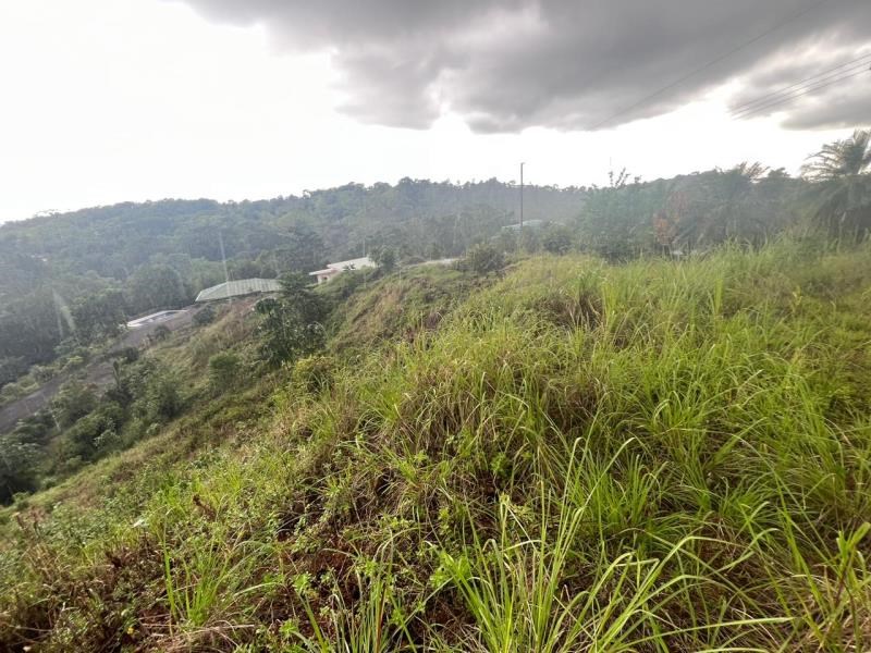 677 m2 river and mountain views land for sale in Quepos, Costa Rica