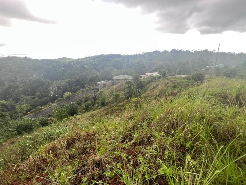 677 m2 river and mountain views land for sale in Quepos, Costa Rica