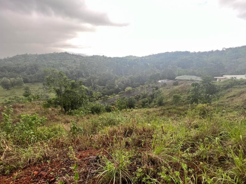 677 m2 river and mountain views land for sale in Quepos, Costa Rica