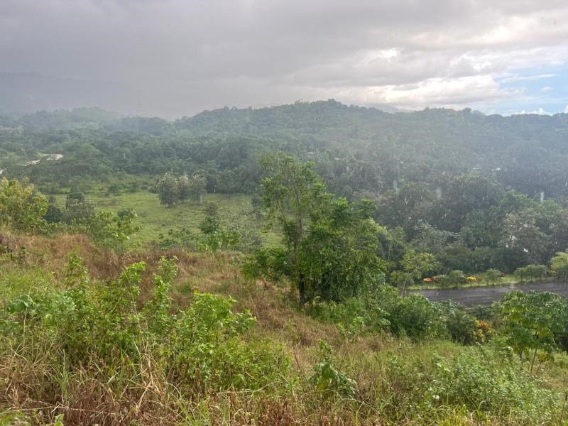 677 m2 river and mountain views land for sale in Quepos, Costa Rica