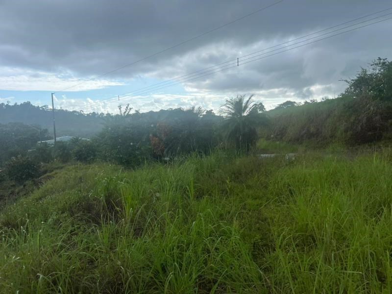 677 m2 river and mountain views land for sale in Quepos, Costa Rica