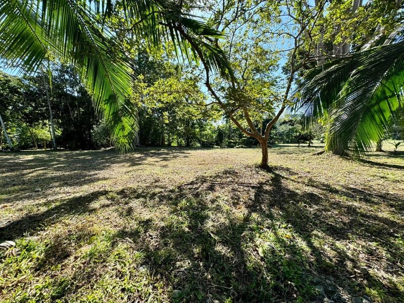 Lot in Cahuita, paradise of the Caribbean Talamanca, Limon, Costa Rica