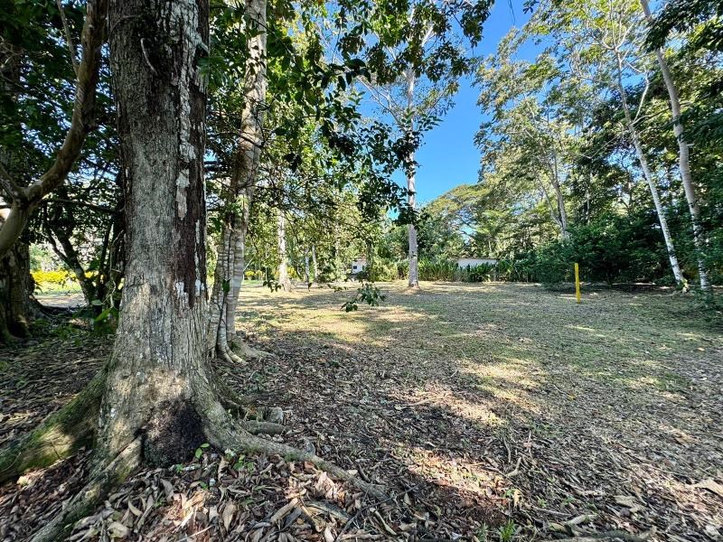 Lot in Cahuita, paradise of the Caribbean Talamanca, Limon, Costa Rica